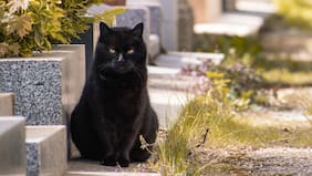 “Viernes 13”: Así nace este día cargado de supersticiones y reconocido por su “mala suerte”