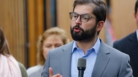 ¿Cerveza, vino y ron marca “Boric”?: empresa intentó registrar nombre para tragos pero fue negado