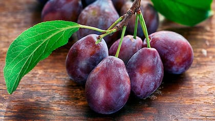 Rusia rechazó cargamentos de fruta chilena por riesgo sanitario ante detección de hongo