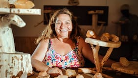 Impulso Mujer: Fundación Luksic abre convocatoria para entregar hasta $2 millones a emprendedoras