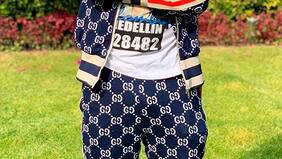 Martín Rodríguez tiene que soltar el mono para llegar al Colo