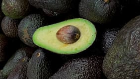 Alimentos que podrían desaparecer producto del cambio climático