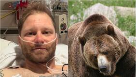 “Lo más violento que he vivido”: el impactante relato de un sobreviviente al ataque de un oso
