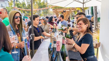 Con más de 50 viñas y la tradicional pisada de uva: Vendimia Fest 2026 llega a Barrio Italia en abril