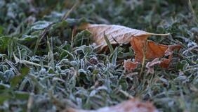 Se esperan hasta -3ºC: pronostican heladas entre Valparaíso y Biobío desde este miércoles