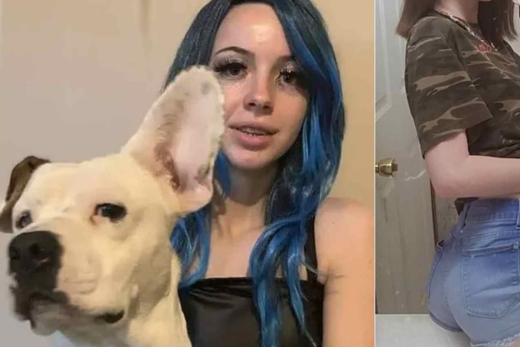 Detienen A Joven De 19 A os Que Se Grab Teniendo Sexo Con Un Perro detienen-a-joven-de-19-a-os-que-se-grab-teniendo-sexo-con-un-perro