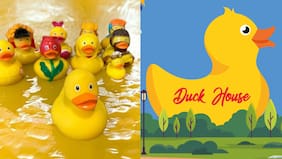 ¡Será gratuito! Pato de 8 metros se tomará las calles del Barrio Italia