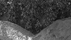 Lee un adelanto de Nombres propios, el nuevo libro de Gabriel Zanetti