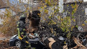 Dos personas mueren por caída de árboles en Peñalolén y Concepción