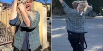 perrito los ángeles