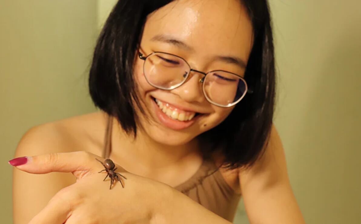 mecanismos cerebrales contra el miedo