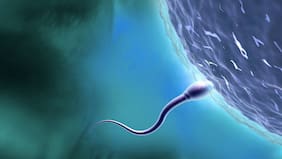 Eyacular diariamente ayudaría a mejorar la calidad del semen según expertos