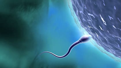 Eyacular diariamente ayudaría a mejorar la calidad del semen según expertos