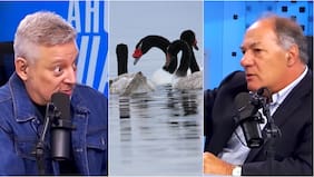 La frase de Juan Sutil sobre medio ambiente que Juan Manuel Astorga le rebatió: le recordó que “si quiere podemos hablar de los cisnes de cuello negro”