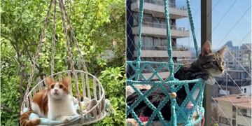 Emprendimiento Hamacats