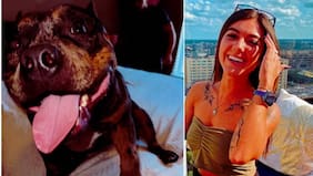 Culpó al perro de matar a su polola y lo sacrificó: el vuelco que terminó con influencer condenado por cobarde crimen