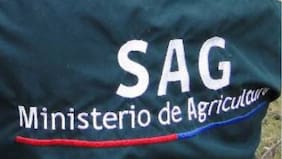 SAG deberá justificar ante Contraloría el alto sueldo que fue pagado a una periodista