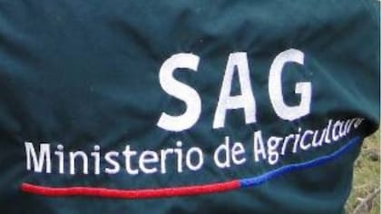 En el Biobío instalaron emisores de confusión sexual: buscan que no se reproduzca dañina especie