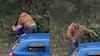 Sujeto atacó a padre tras choque en Puerto Montt: bebé de 10 meses estaba en el auto
