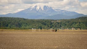 Excursionista falleció tras caer por ladera mientras descendía del volcán Calbuco