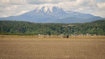Excursionista falleció tras caer por ladera mientras descendía del volcán Calbuco