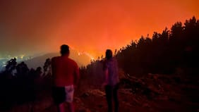 Balance preliminar por incendio forestal en Concepción: al menos 253 viviendas destruidas por los siniestros