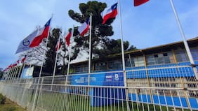 Liceo de Maule no envió a tiempo notas de estudiantes de cuarto medio a Mineduc y ahora no pueden postular a la Universidad