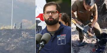 Boric por detenidos en Viña