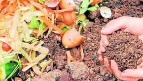 El compost perfecto se prepara así