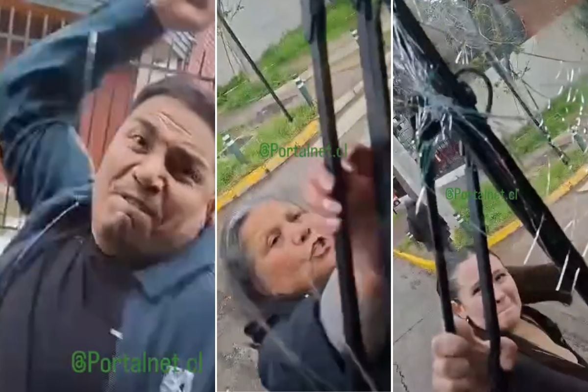 Minutos de pánico entre pasajeros: Graban brutal ataque “familiar” a bus RED y su conductora