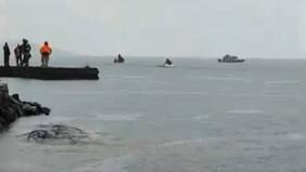 Reportan grave accidente aéreo: helicóptero capotó y se hundió en el Lago Ranco