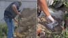 Enterraron bolsas para evitar ser hallados: cae banda de extranjeros que robó decenas de celulares en La Pampilla