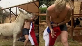 “Está bien” y “Huevea mucho”: Junior Playboy hostigó al burro hasta que le dio feroz mordida