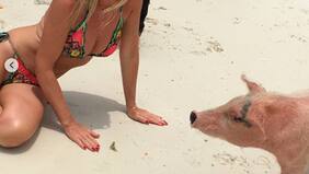 LAS FOTOS de las vacaciones hot de Gala y el "Huaso" Isla en Puerto Rico