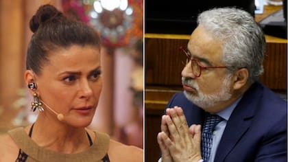 Detectan brechas millonarias de Luis Hermosilla: Tonka Tomicic le transfirió $40 millones sin factura de por medio