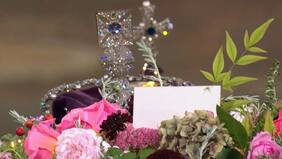 Captan a una araña en el ataúd de la reina Isabel II: video se volvió viral en redes