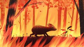 “A veces despierto llorando en la mañana”: rescatar pudúes en un infierno forestal