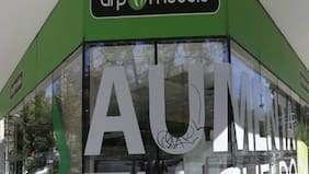 Comisión de Trabajo aprobó en general el proyecto del 10% del Gobierno