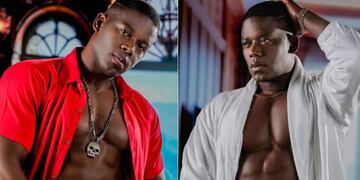 Pierre Desarmes - Arsmate