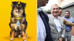 Lipigas concreta denuncia tras envío de mensajes políticos pro Kast a través de su aplicación