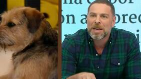 "Que se encierren unos pelotudos por plata ya lo encuentro una estupidez. Pero que encierren animales y que más encima los maltraten...", opina Neme por situación que afectó a "Bigote" en reality Gran Hermano