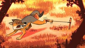 “Aún persiste la gente porfiada”: el angustiante caso del zorro culpeo atrapado en un “huachi”