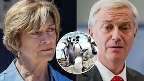 Matthei irrumpe en la polémica por decretos ambientales: dio tajante opinión ante la medida del gobierno de Kast