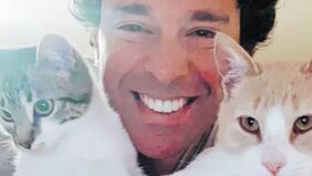 Mininos faranduleros llegan a Hollywood con su Gatour