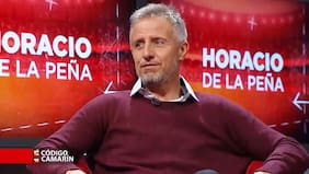 "No se lo voy a perdonar nunca...": el desastroso divorcio que marcó a Horacio de la Peña