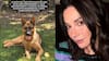 “Amanecieron muertos”: Kel Calderón sufre por el envenenamiento de su perrito y ofrece jugosa recompensa para encontrar al responsable
