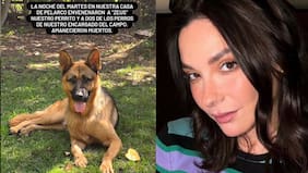 “Amanecieron muertos”: Kel Calderón sufre por el envenenamiento de su perrito y ofrece jugosa recompensa para encontrar al responsable