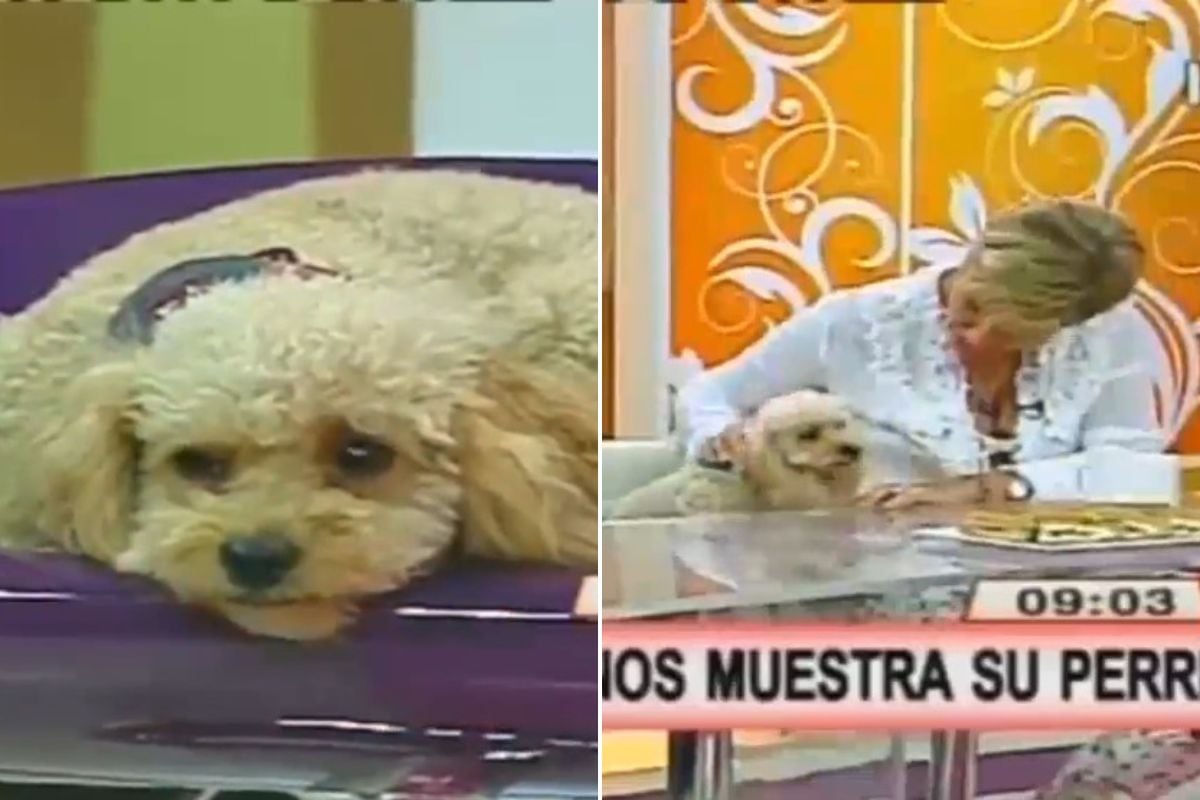 Paulina Nin y su perrita "Flo"