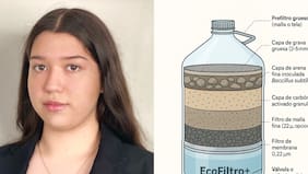 Usando una bactería: estudiante de 17 años inventó sistema de purificación que podría cambiar calidad de vida comunicades patagonicas