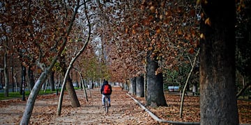 Desolado Parque Forestal en medio de las hojas caidas bajo la pandemia del Covid-19